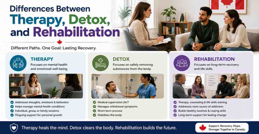 Differences Between Therapy, Detox, and Rehabilitation